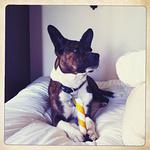 Christmas 2010 245.jpg