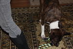 Christmas 2010 400.jpg