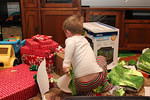Christmas 2010 608.jpg