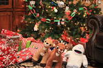 Christmas 2010 673.jpg