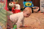 Christmas 2010 677.jpg