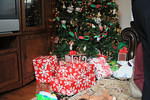 Christmas 2010 685.jpg