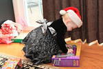 Christmas 2010 714.jpg