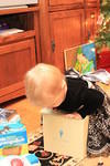 Christmas 2010 906.jpg