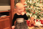 Christmas 2010 911.jpg